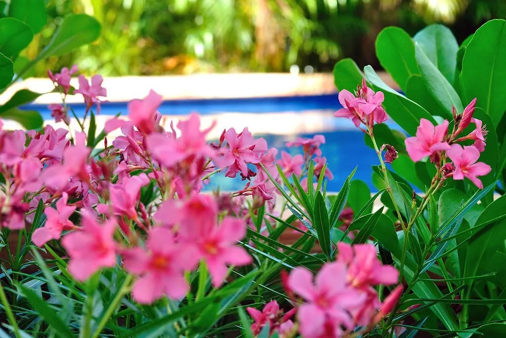 La Pasion Colonial Hotel Boutique By Bunik Playa del Carmen Mexico